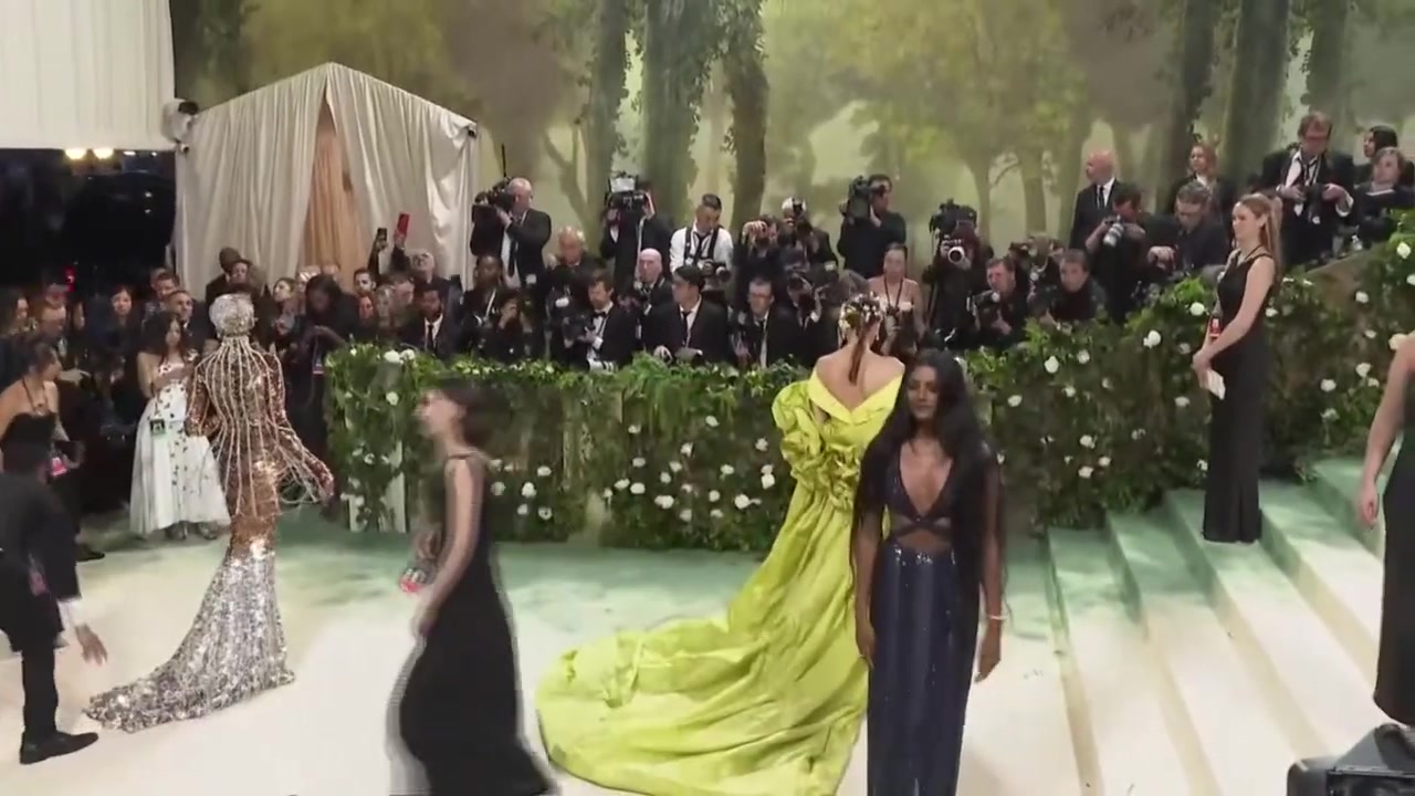 apmetgalacarpet113.jpg apmetgalacarpet113.jpg